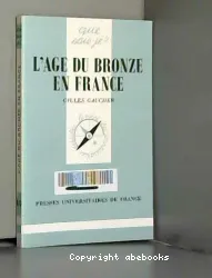 L'Âge du bronze en France